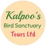 Kalpoos Tours