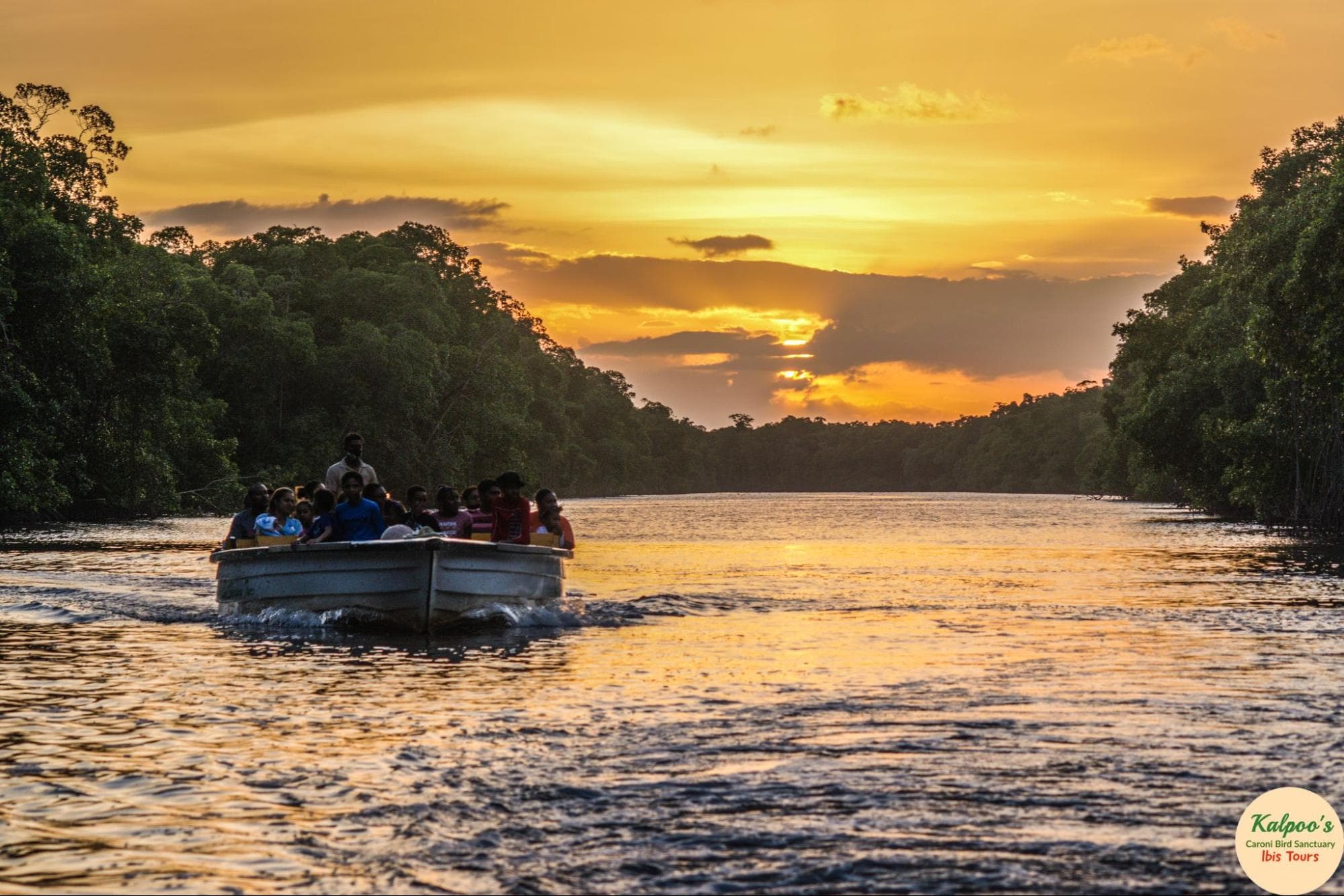 Sunset Bird-Watching Tour
